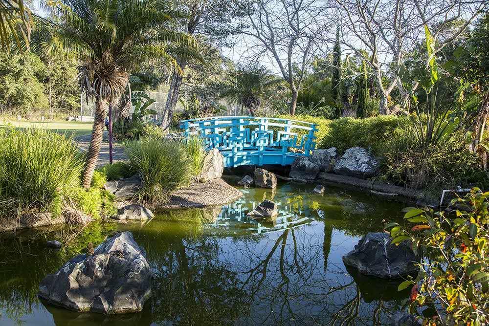 Seaside Garden Retreat Accommodation Wamberal Ngoại thất bức ảnh